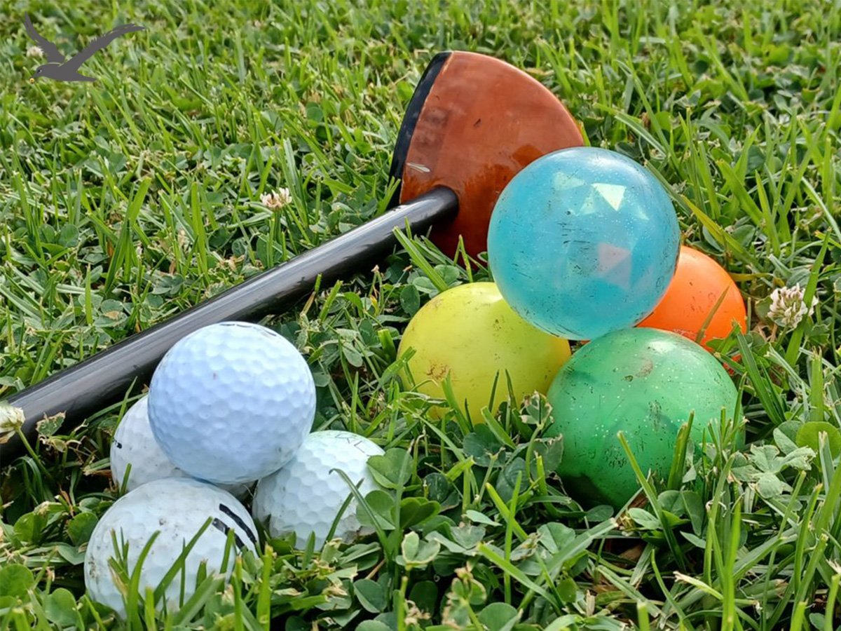 Vielfalt der Parkgolfbälle