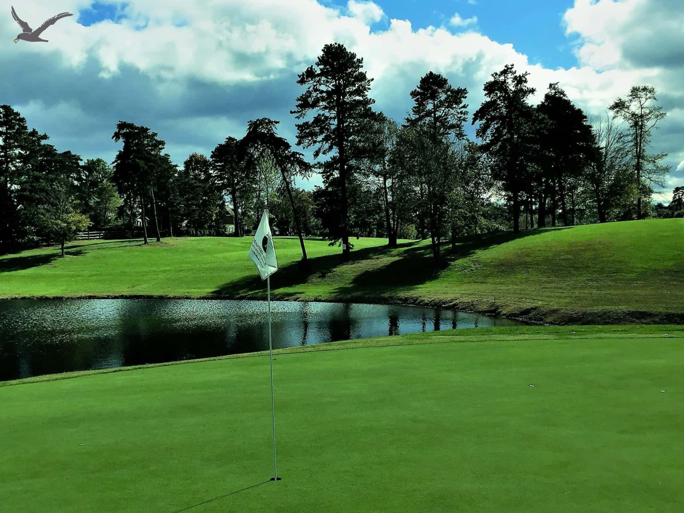 The Albatross Sports: 10 schnelle Fakten zum bekannten Golfsport (Teil 1)